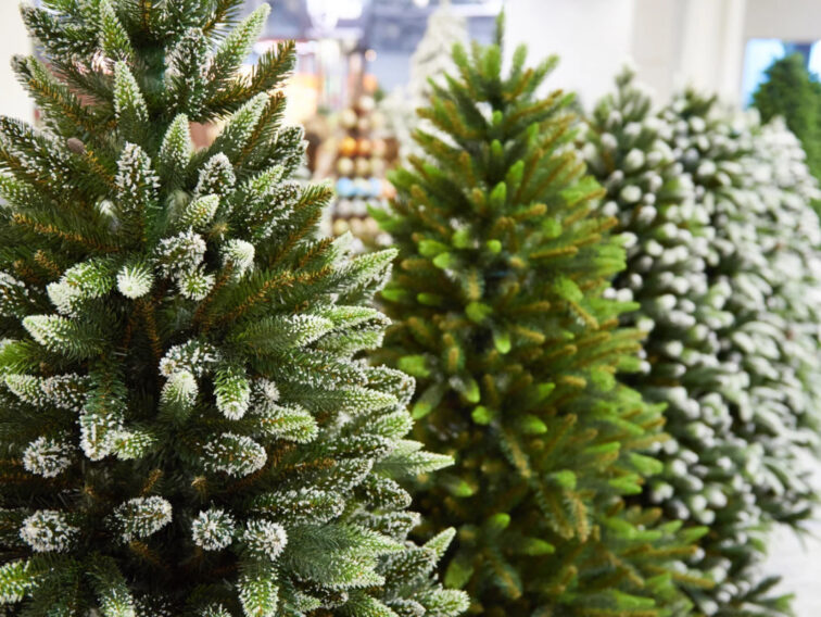 Jak dobrać idealną wysokość i szerokość choinki do salonu